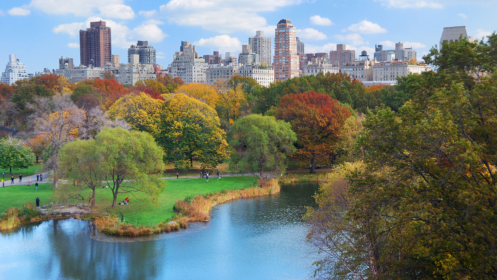 Central Park in the fall