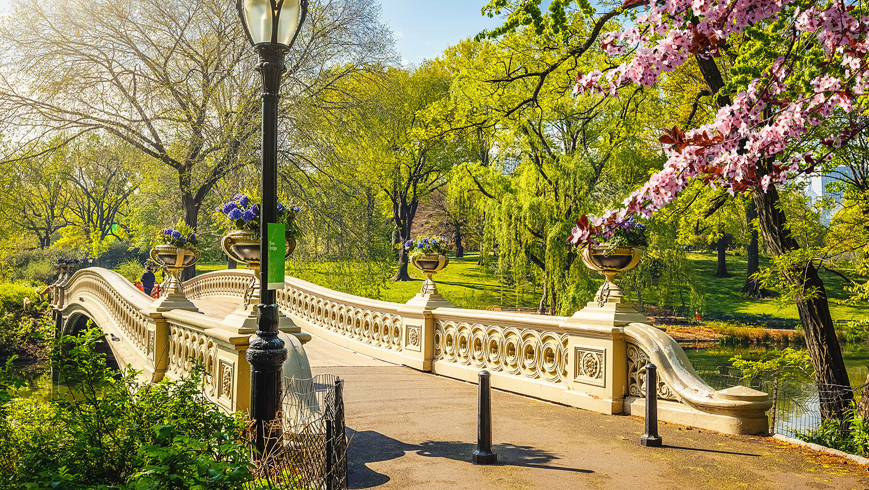 Central Park in spring