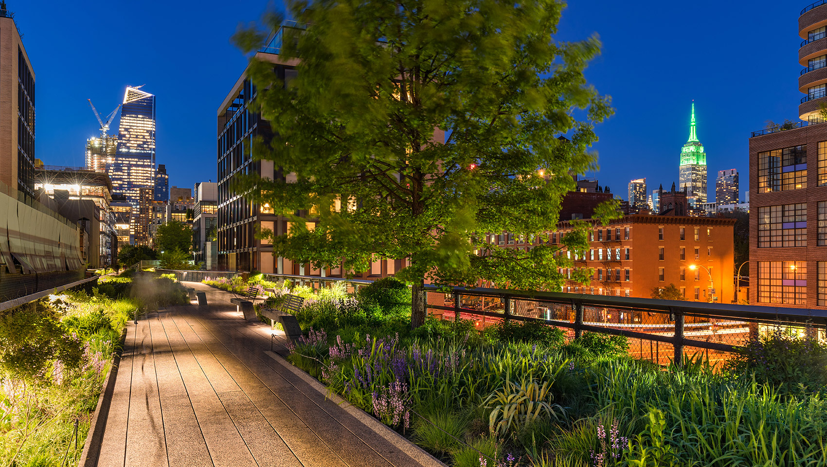 The Highline at Night
