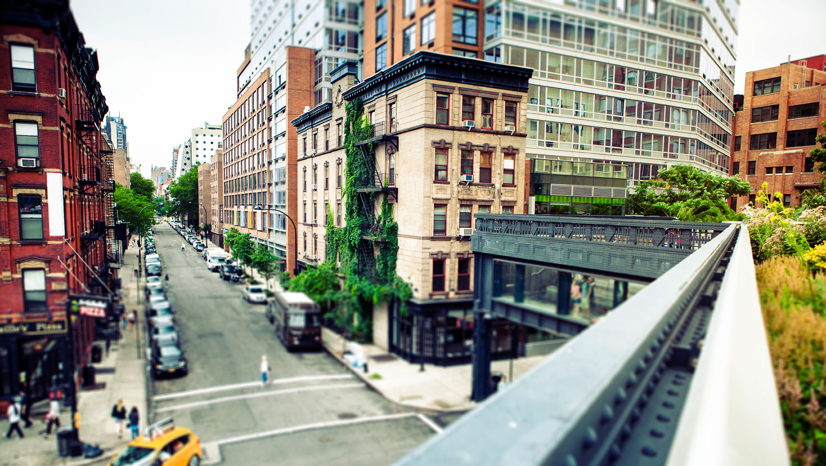 city buildings with green vines seen from High Line