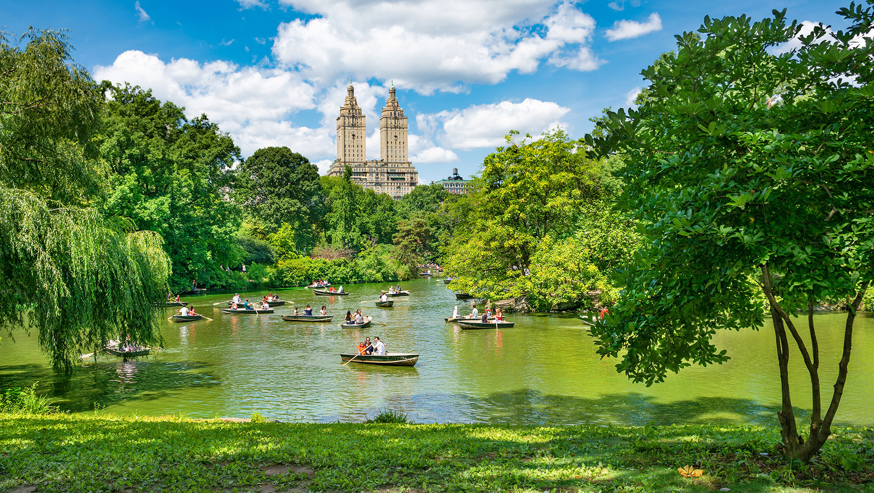 Central Park Pond