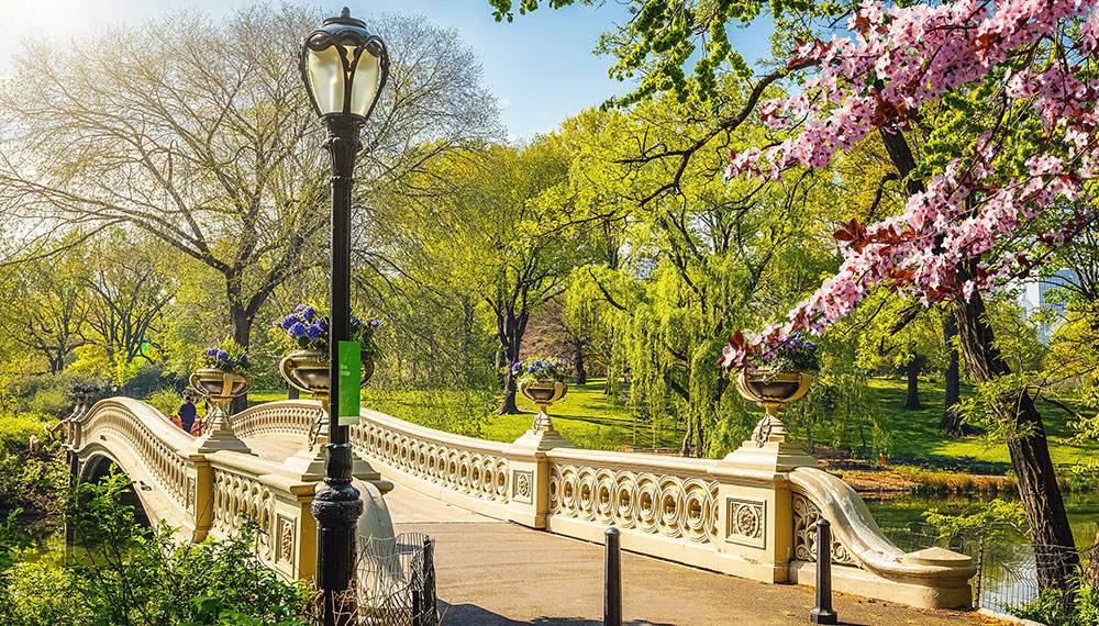 Central Park in spring