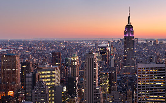 New York City skyline overlooking Empire State Building